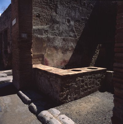 The latrine by Roman